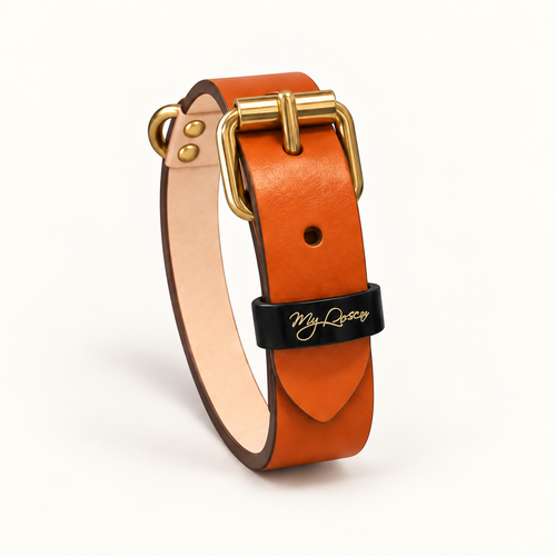 Collare in vera pelle liscia – Gold