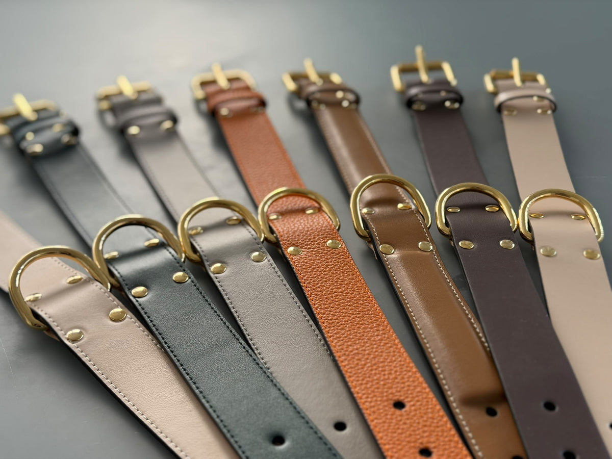 Collari della collezione MyQueenPet in diverse tonalità, con cuciture e minuteria dorata